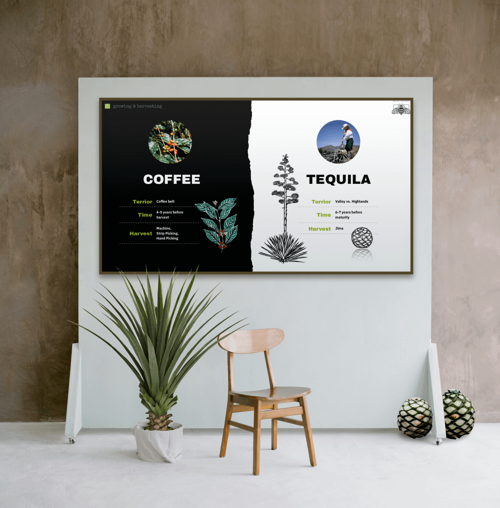Coffee and Tequila Presentation