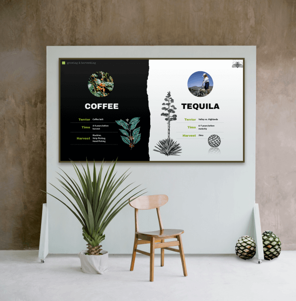 Coffee and Tequila Presentation